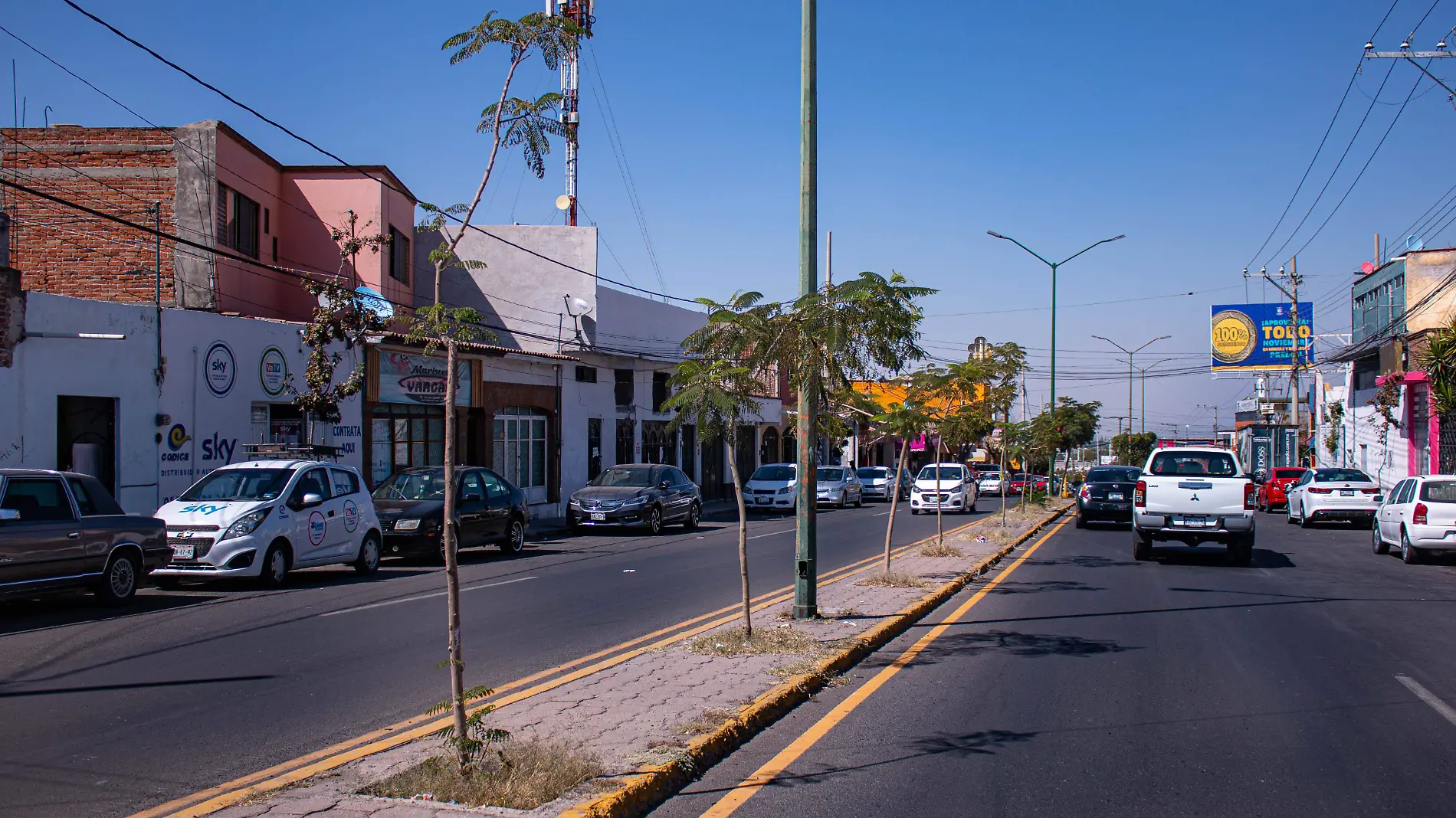 Ecolog_a Municipal ha plantado 32 mil 346 _rboles.  Constanza Escamilla  El Sol de San Juan del R_o.